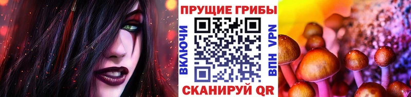 купить закладку  ссылка на мегу ССЫЛКА  Галлюциногенные грибы ЛСД  Златоуст 