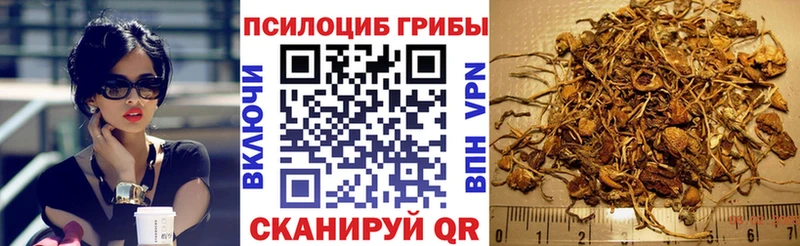 Галлюциногенные грибы мухоморы Златоуст