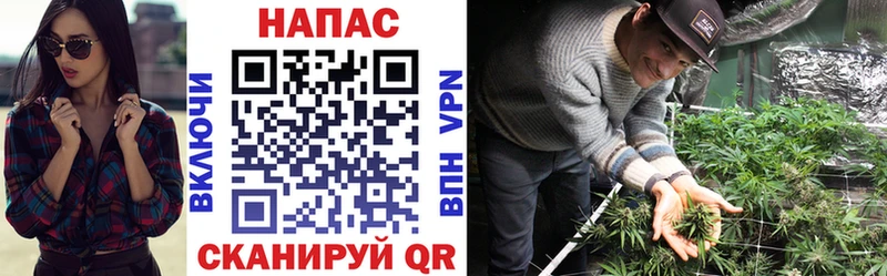 магазин  наркотиков  mega зеркало  Каннабис конопля  Златоуст 